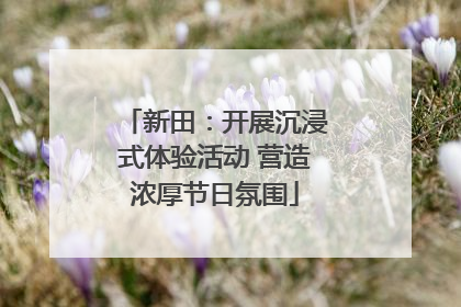 新田：开展沉浸式体验活动 营造浓厚节日氛围