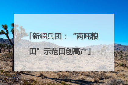 新疆兵团：“两吨粮田”示范田创高产
