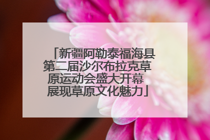 新疆阿勒泰福海县第二届沙尔布拉克草原运动会盛大开幕 展现草原文化魅力