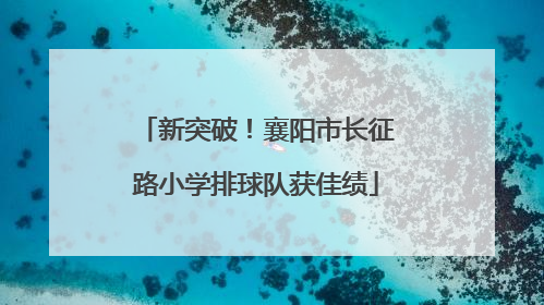 新突破！襄阳市长征路小学排球队获佳绩