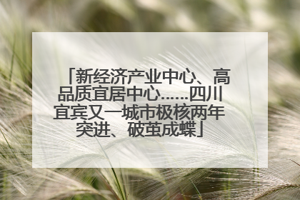 新经济产业中心、高品质宜居中心……四川宜宾又一城市极核两年突进、破茧成蝶