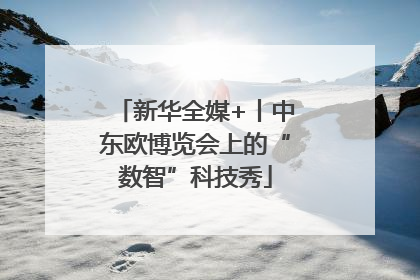 新华全媒+丨中东欧博览会上的“数智”科技秀