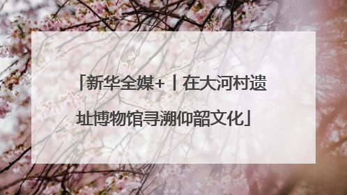 新华全媒+丨在大河村遗址博物馆寻溯仰韶文化
