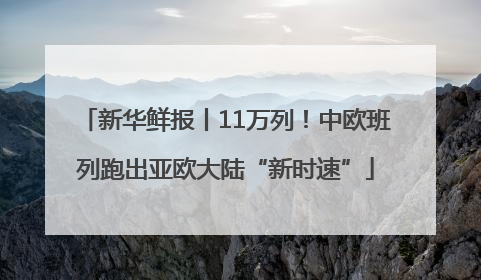 新华鲜报丨11万列！中欧班列跑出亚欧大陆“新时速”