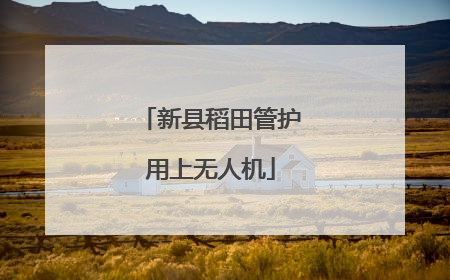 新县稻田管护用上无人机
