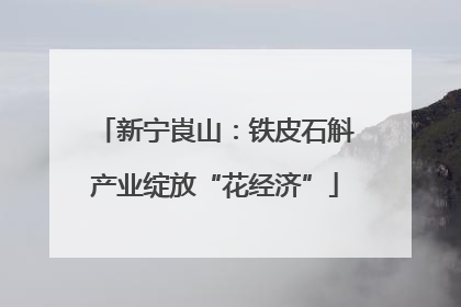新宁崀山：铁皮石斛产业绽放“花经济”