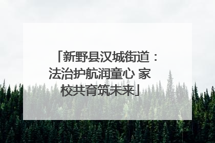 新野县汉城街道：法治护航润童心 家校共育筑未来
