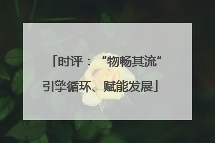 时评：“物畅其流”引擎循环、赋能发展