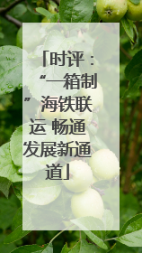 时评：“一箱制”海铁联运 畅通发展新通道