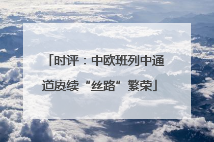 时评：中欧班列中通道赓续“丝路”繁荣