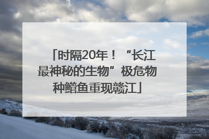 时隔20年！“长江最神秘的生物”极危物种鳤鱼重现赣江