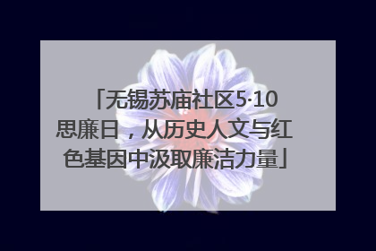 无锡苏庙社区5·10思廉日，从历史人文与红色基因中汲取廉洁力量