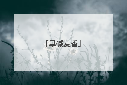 旱碱麦香
