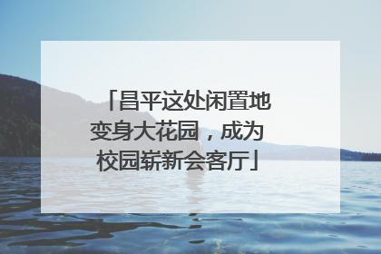 昌平这处闲置地变身大花园，成为校园崭新会客厅