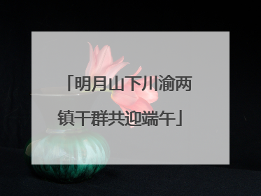 明月山下川渝两镇干群共迎端午