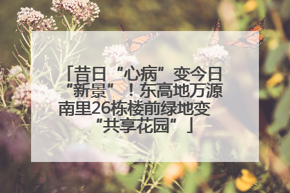 昔日“心病”变今日“新景”！东高地万源南里26栋楼前绿地变“共享花园”