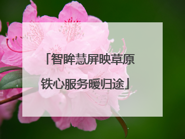 智眸慧屏映草原 铁心服务暖归途