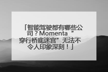 智能驾驶都有哪些公司？Momenta“穿行桥底迷宫”无法不令人印象深刻！