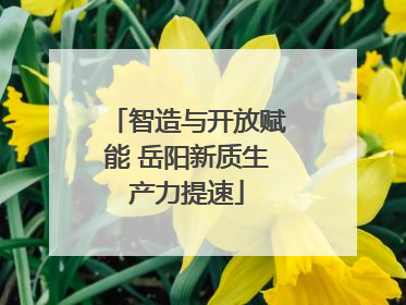 智造与开放赋能 岳阳新质生产力提速