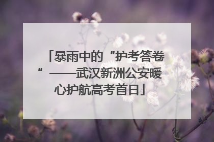 暴雨中的“护考答卷”——武汉新洲公安暖心护航高考首日