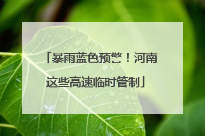暴雨蓝色预警！河南这些高速临时管制