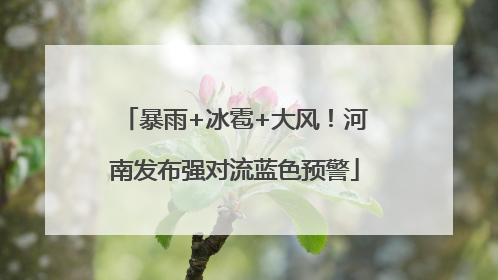 暴雨+冰雹+大风！河南发布强对流蓝色预警
