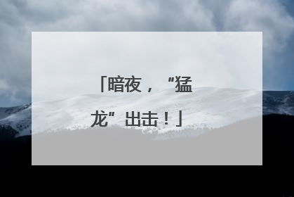 暗夜，“猛龙”出击！