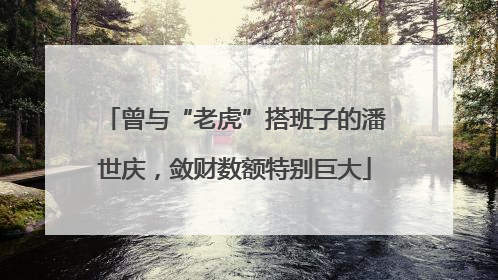 曾与“老虎”搭班子的潘世庆，敛财数额特别巨大