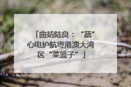曲靖陆良：“蔬”心电护航粤港澳大湾区“菜篮子”
