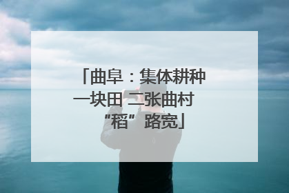 曲阜：集体耕种一块田 二张曲村“稻”路宽