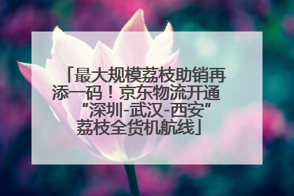 最大规模荔枝助销再添一码！京东物流开通“深圳-武汉-西安” 荔枝全货机航线