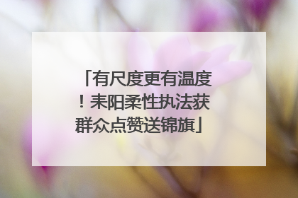 有尺度更有温度！耒阳柔性执法获群众点赞送锦旗