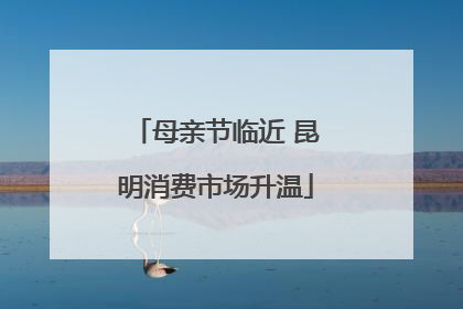 母亲节临近 昆明消费市场升温