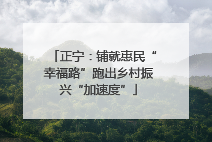 正宁：铺就惠民“幸福路”跑出乡村振兴“加速度”