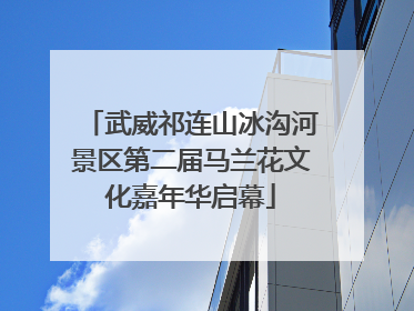 武威祁连山冰沟河景区第二届马兰花文化嘉年华启幕