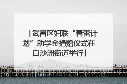 武昌区妇联“春蕾计划”助学金捐赠仪式在白沙洲街道举行