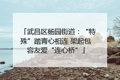 武昌区杨园街道：“特殊”踏青心相连 架起包容友爱“连心桥”