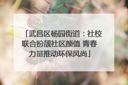 武昌区杨园街道：社校联合扮靓社区颜值 青春力量推动环保风尚