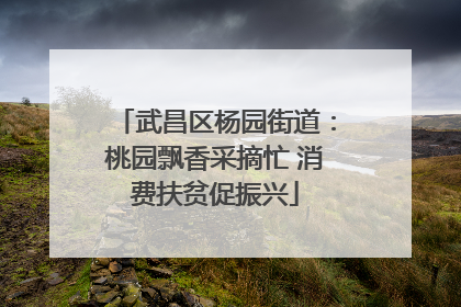 武昌区杨园街道：桃园飘香采摘忙 消费扶贫促振兴