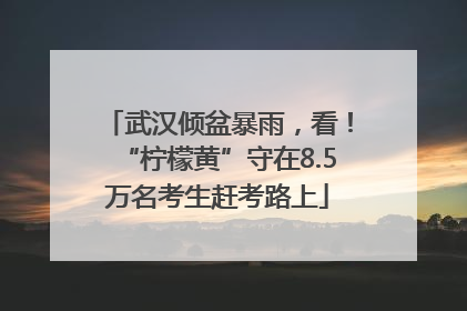 武汉倾盆暴雨，看！“柠檬黄”守在8.5万名考生赶考路上