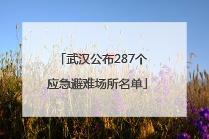 武汉公布287个应急避难场所名单