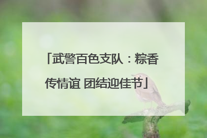 武警百色支队：粽香传情谊 团结迎佳节