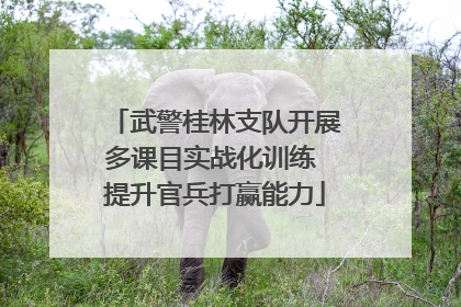 武警桂林支队开展多课目实战化训练 提升官兵打赢能力