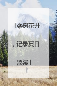 栾树花开，记录夏日浪漫