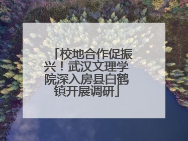 校地合作促振兴！武汉文理学院深入房县白鹤镇开展调研