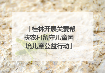 桂林开展关爱帮扶农村留守儿童困境儿童公益行动