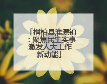 桐柏县淮源镇：聚焦民生实事 激发人大工作新动能