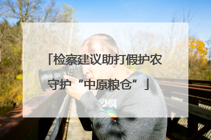 检察建议助打假护农守护“中原粮仓”