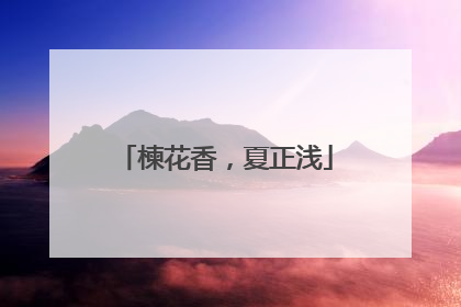 楝花香，夏正浅