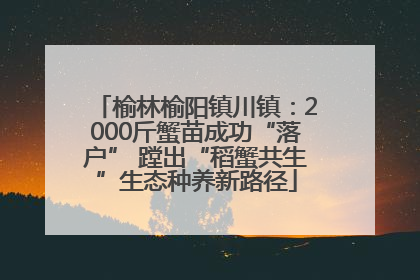榆林榆阳镇川镇：2000斤蟹苗成功“落户” 蹚出“稻蟹共生”生态种养新路径